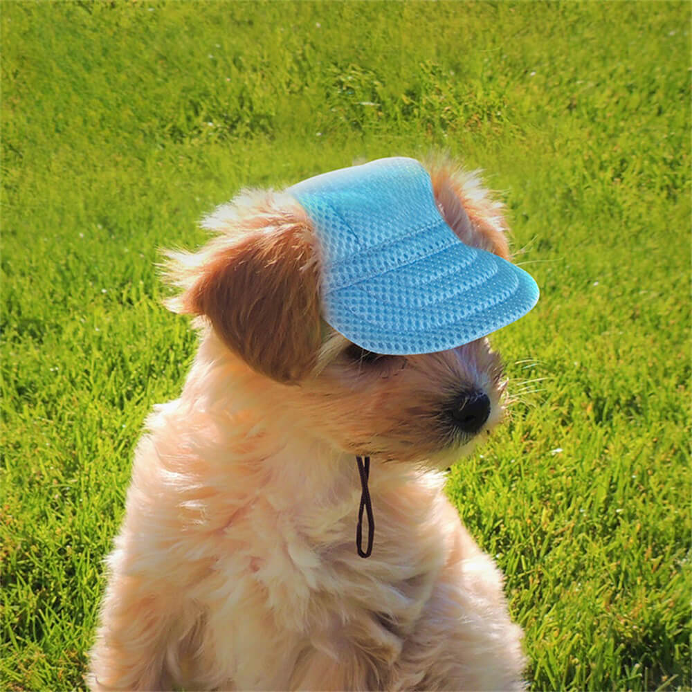 Sombrero azul ajustable para el sol para perros: protección elegante para su cachorro