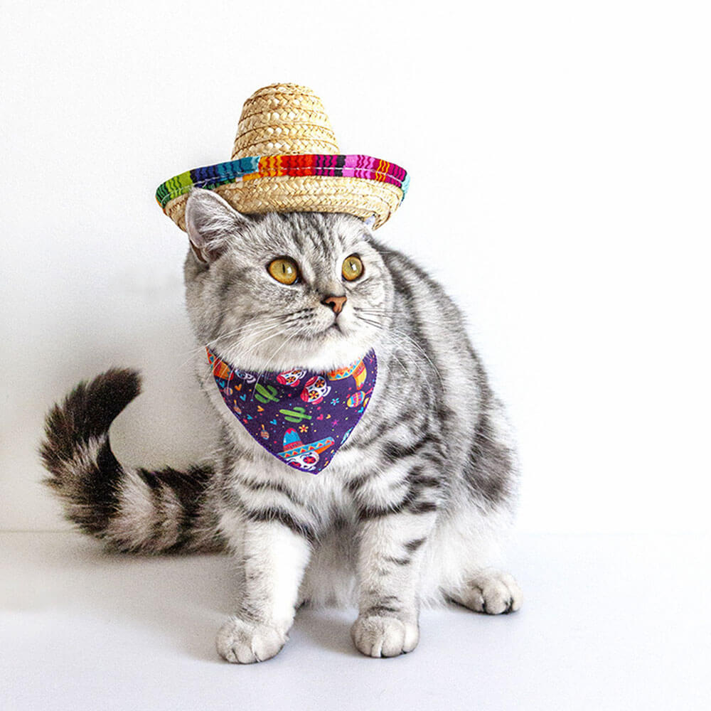 Fiesta Cat Costume Set - Sombrero and Bandana for Cats and Small Dogs