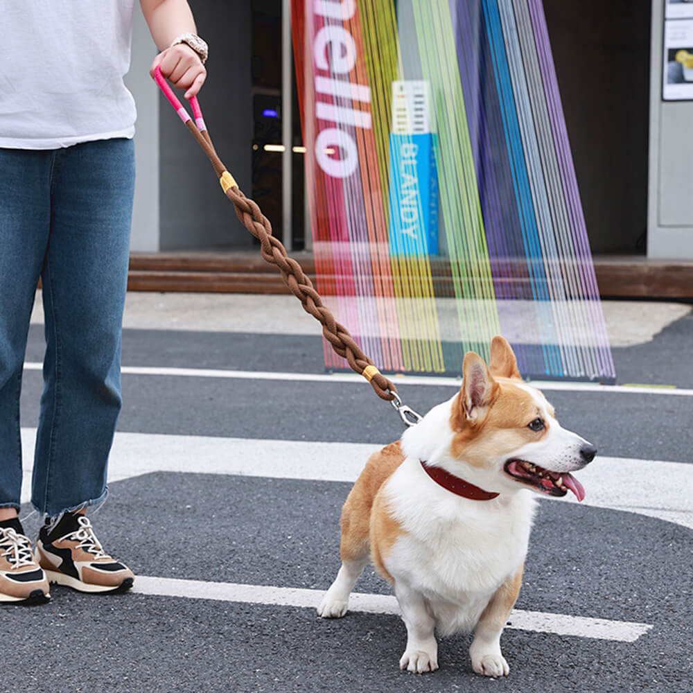 Corde de traction pour chien tissée à la main – Épaisse et durable pour des promenades confortables