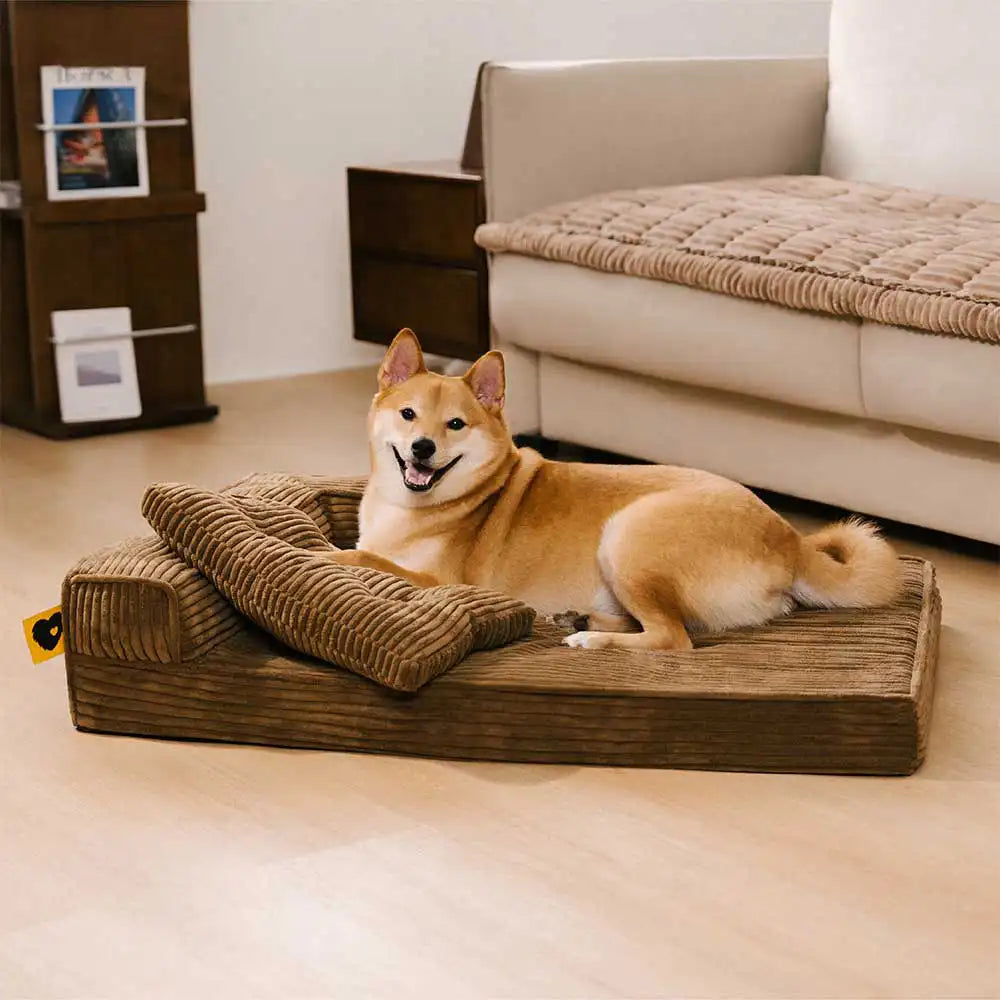 Cana de cana Anti -Scratch Exprovable Cama de perros ortopédica con almohada - COMFYSOFA