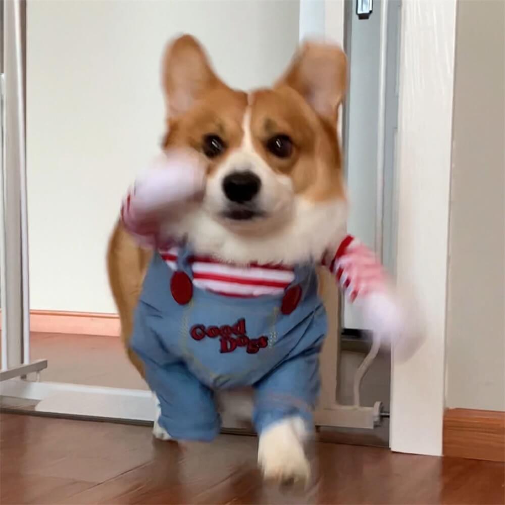 Crazy Horror Chucky Halloween Dog Costume