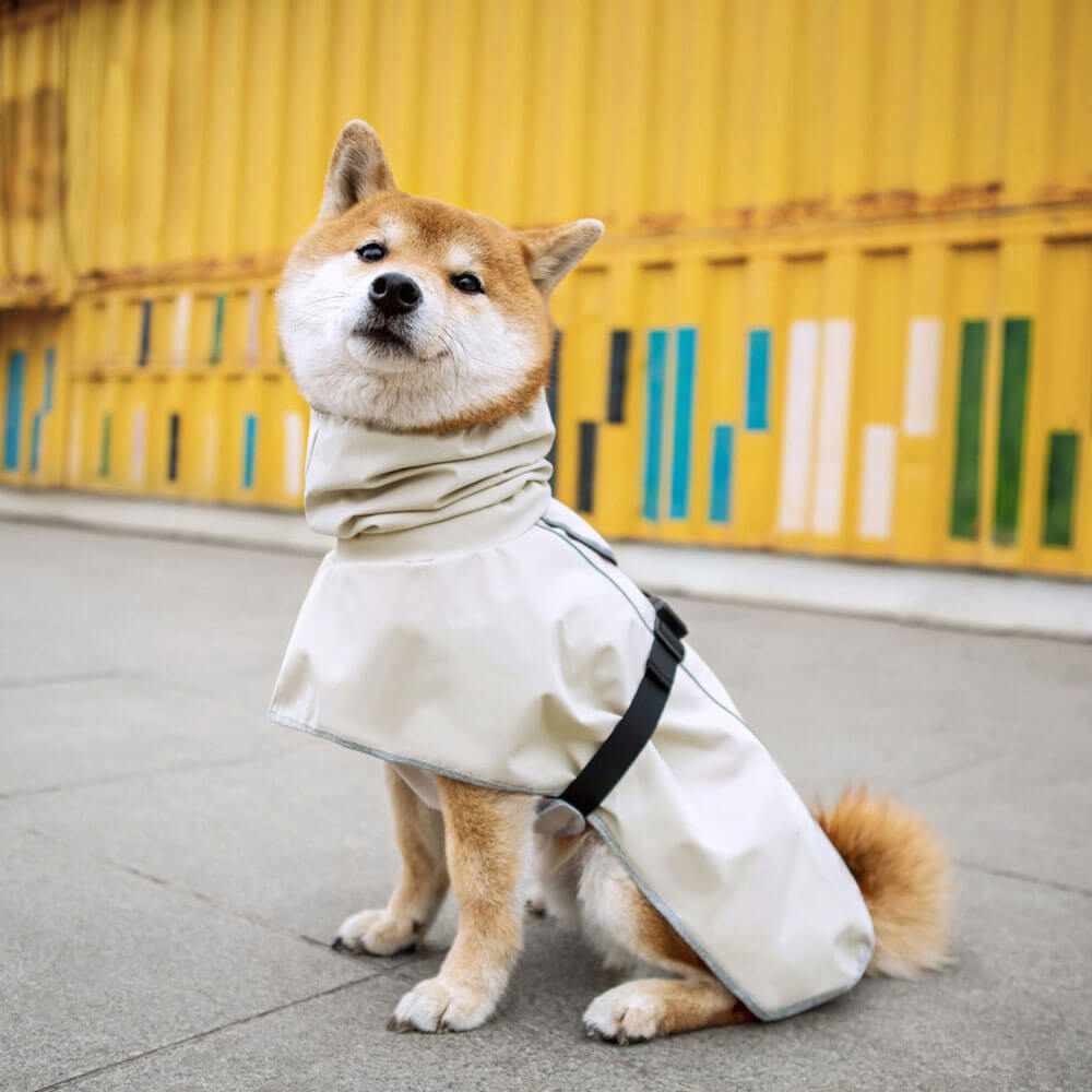Outdoor waterproof cross-border pet dog clothes raincoat poncho large dog clothing