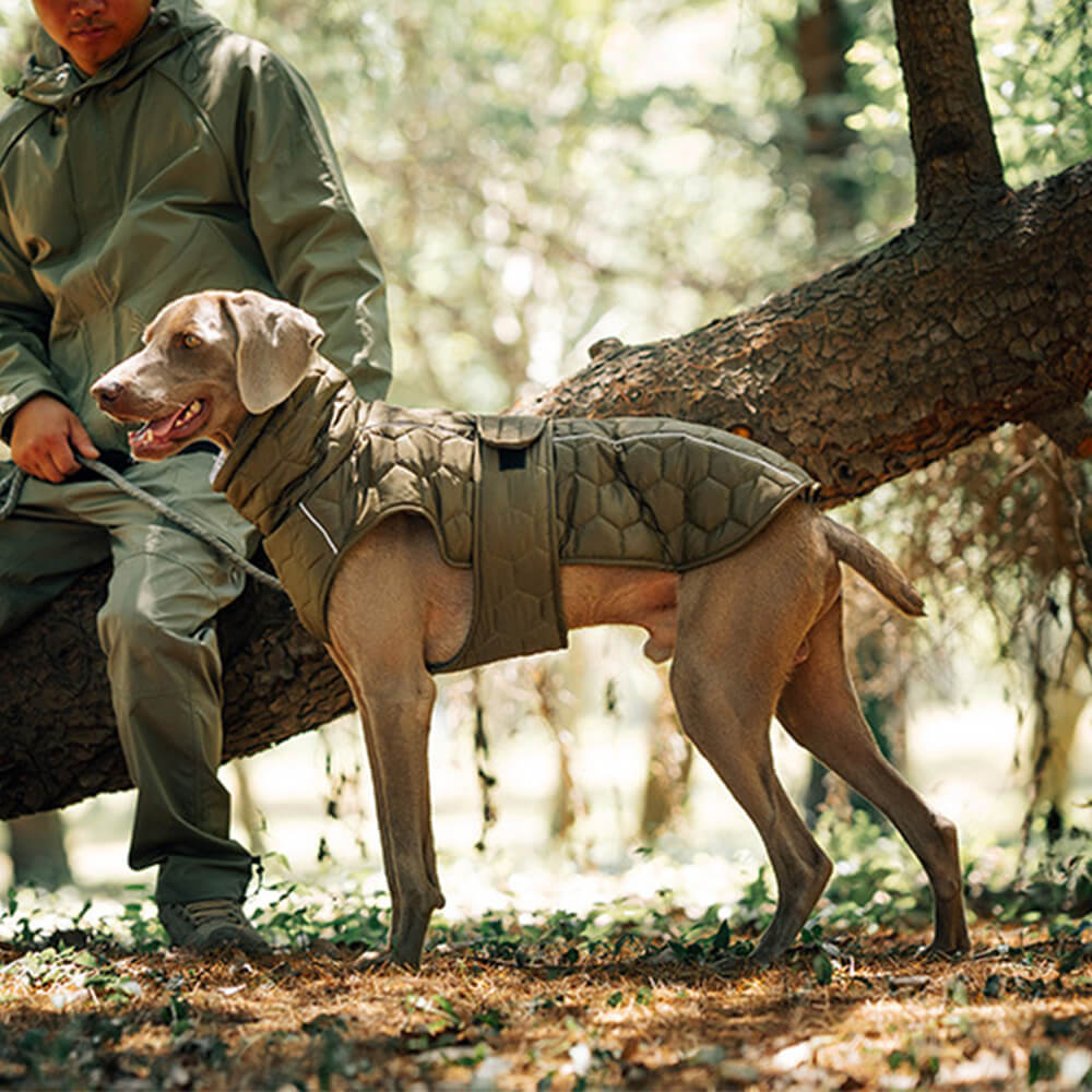 Gesteppte Outdoor-Hundeweste – warm und langlebig für Wanderungen und Abenteuer