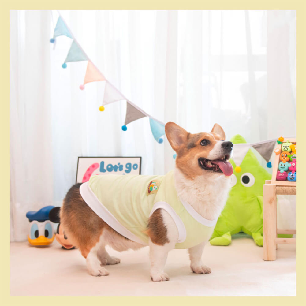 Dog Fall Lightweight T-Shirt Vest Anti-Shedding and Cold-Proof Pet Clothes