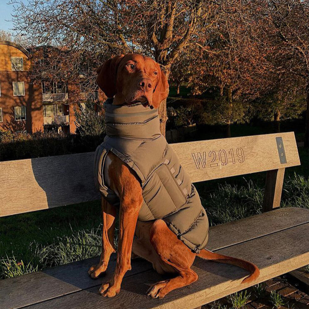 Waterproof And Windproof Warm Vest - The Ultimate In Winter Warmth And Style