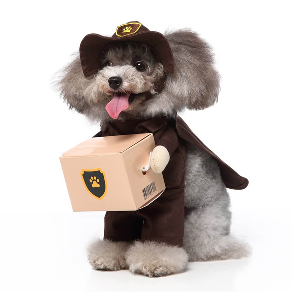 Disfraces divertidos de Halloween para perros cosplay: trajes divertidos y adorables para mascotas