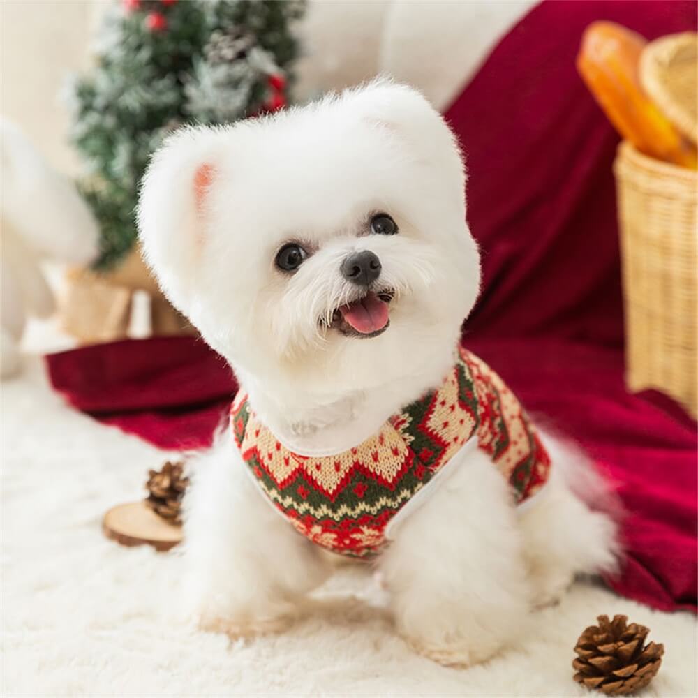 Festive Bear Knit Dog Sweater – Cozy and Perfect for the Holidays