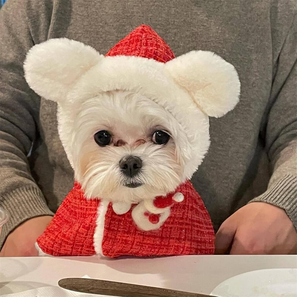 Christmas Bear Hooded Dog Cape – Festive and Adorable for the Holidays