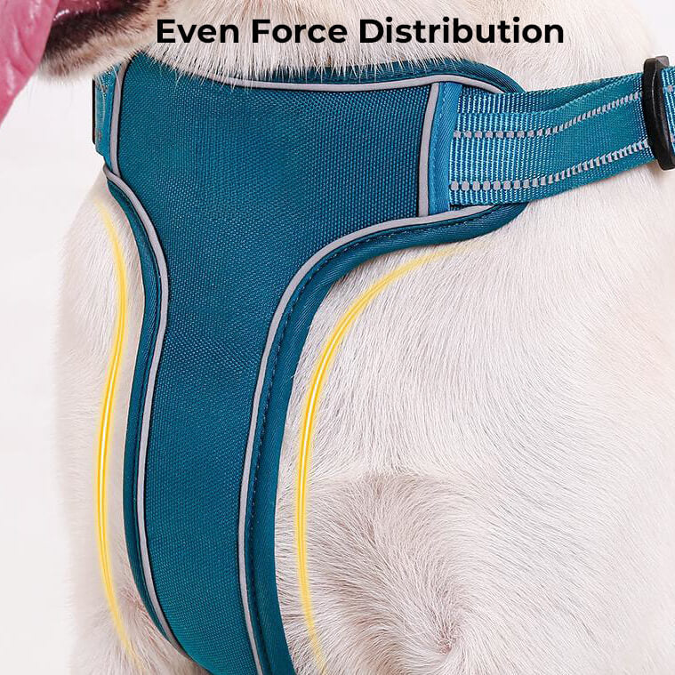 Harnais pour chien respirant anti-traction réglable avec laisse mains libres
