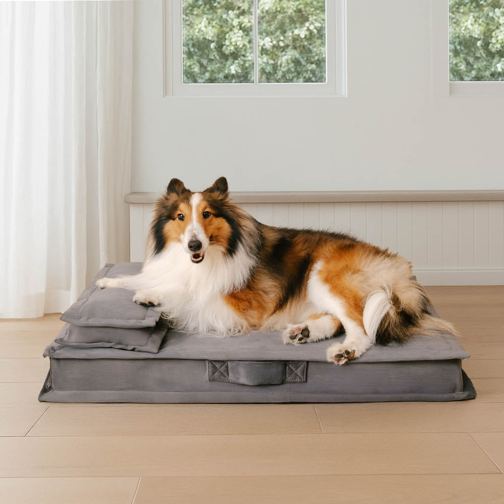 Anti-Anxiety with Sponge Support Deep Sleeping Dog Bed