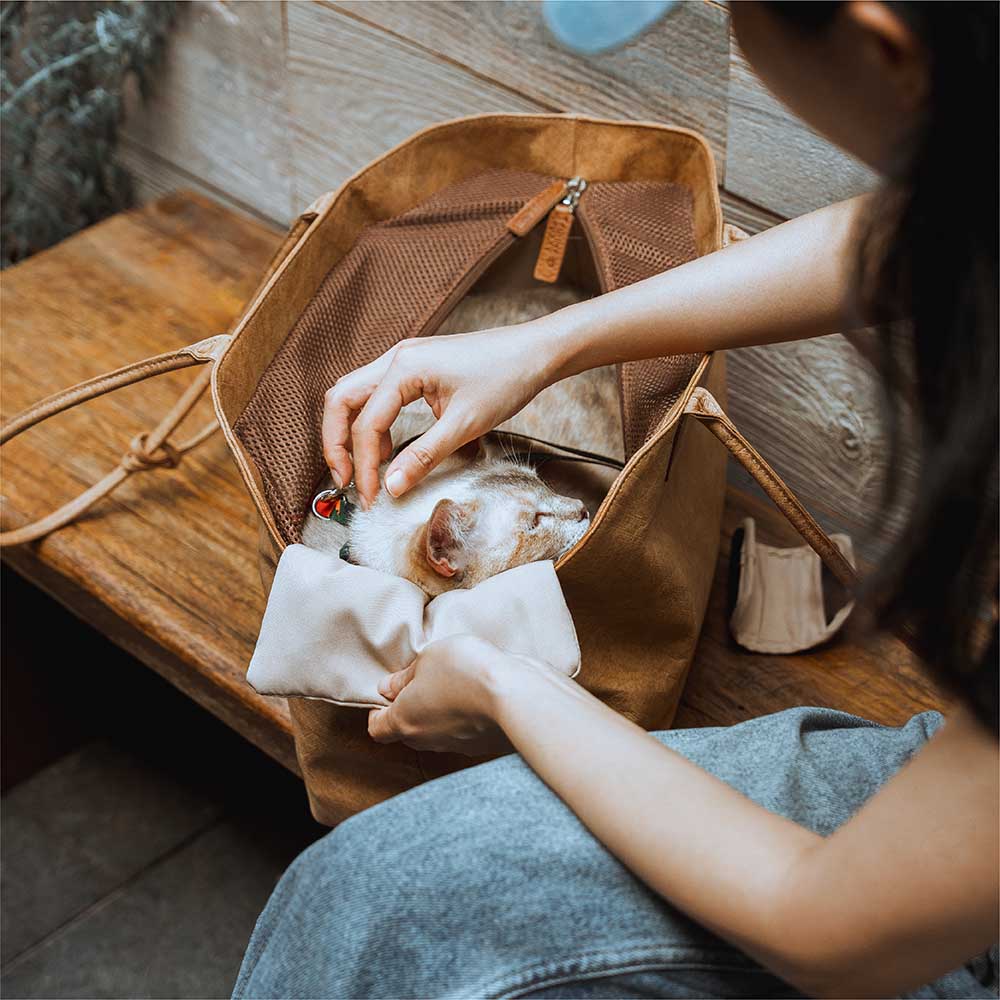 Vogue Eco -friendly DuPont Waterproof Pet Carrier - City Roamer