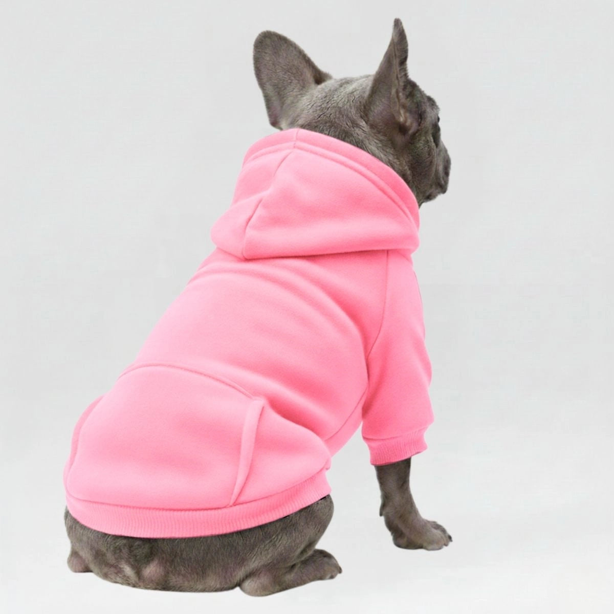 Bunte, gemütliche Hunde-Kapuzenpullover – perfekt für Komfort bei jedem Wetter