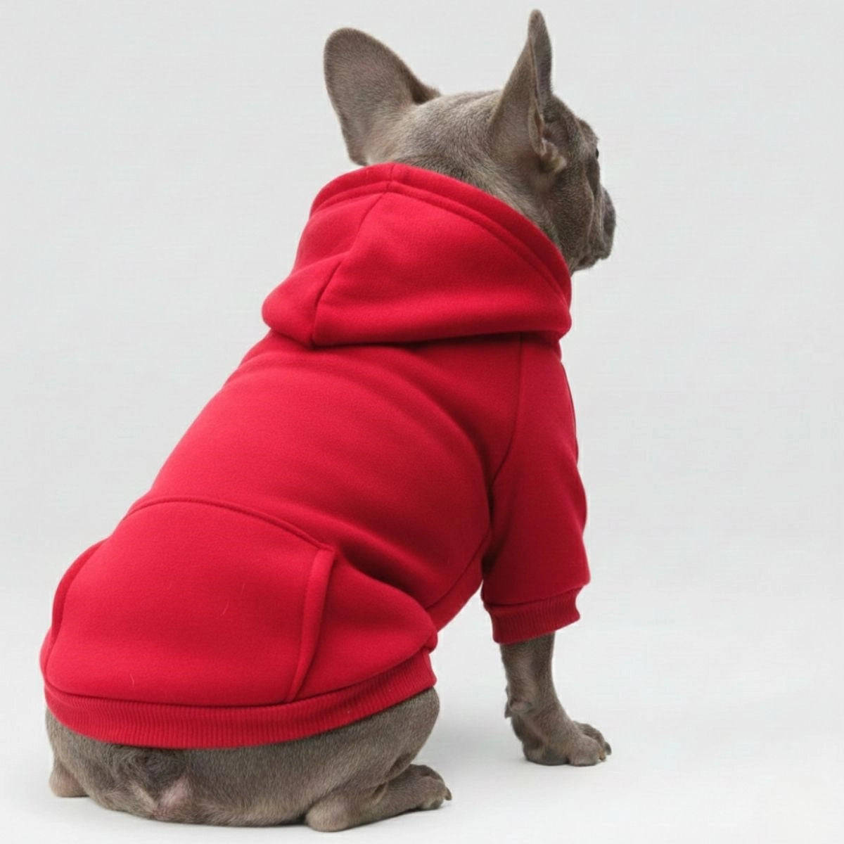 Sweats à capuche colorés et confortables pour chien – Parfaits pour un confort par tous les temps.