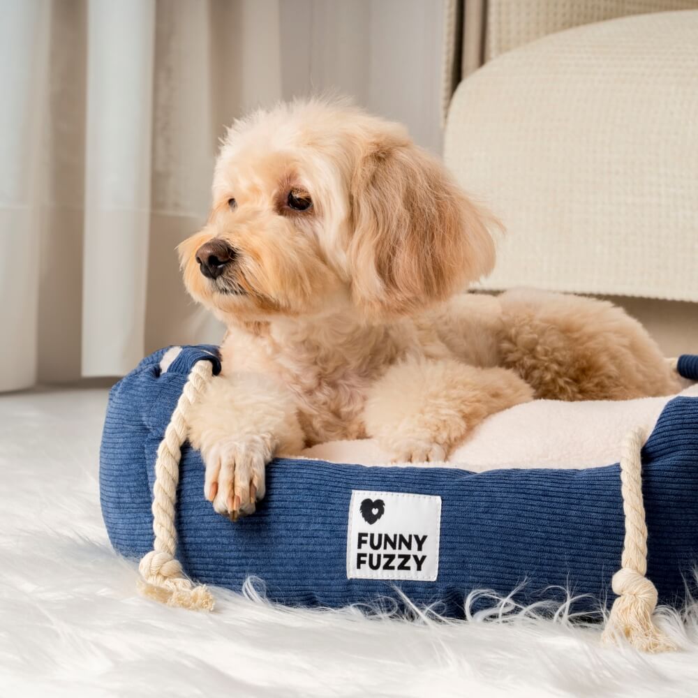 Verspieltes Haustierbett mit Zugseil, verstellbares, kaubeständiges Hunde- und Katzenbett