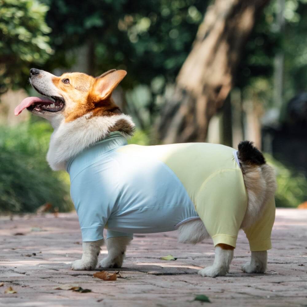 Mono para perro elástico extra grande con bloqueador solar, ropa refrescante para perros