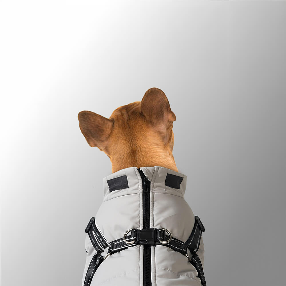 Adjustable Waterproof Warm Outdoor Dog Harness Jacket