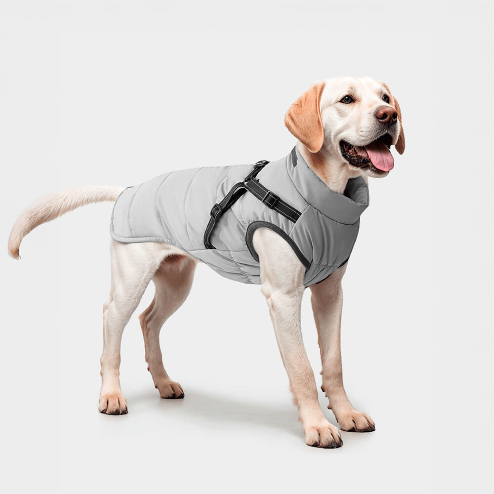 Adjustable Waterproof Warm Outdoor Dog Harness Jacket