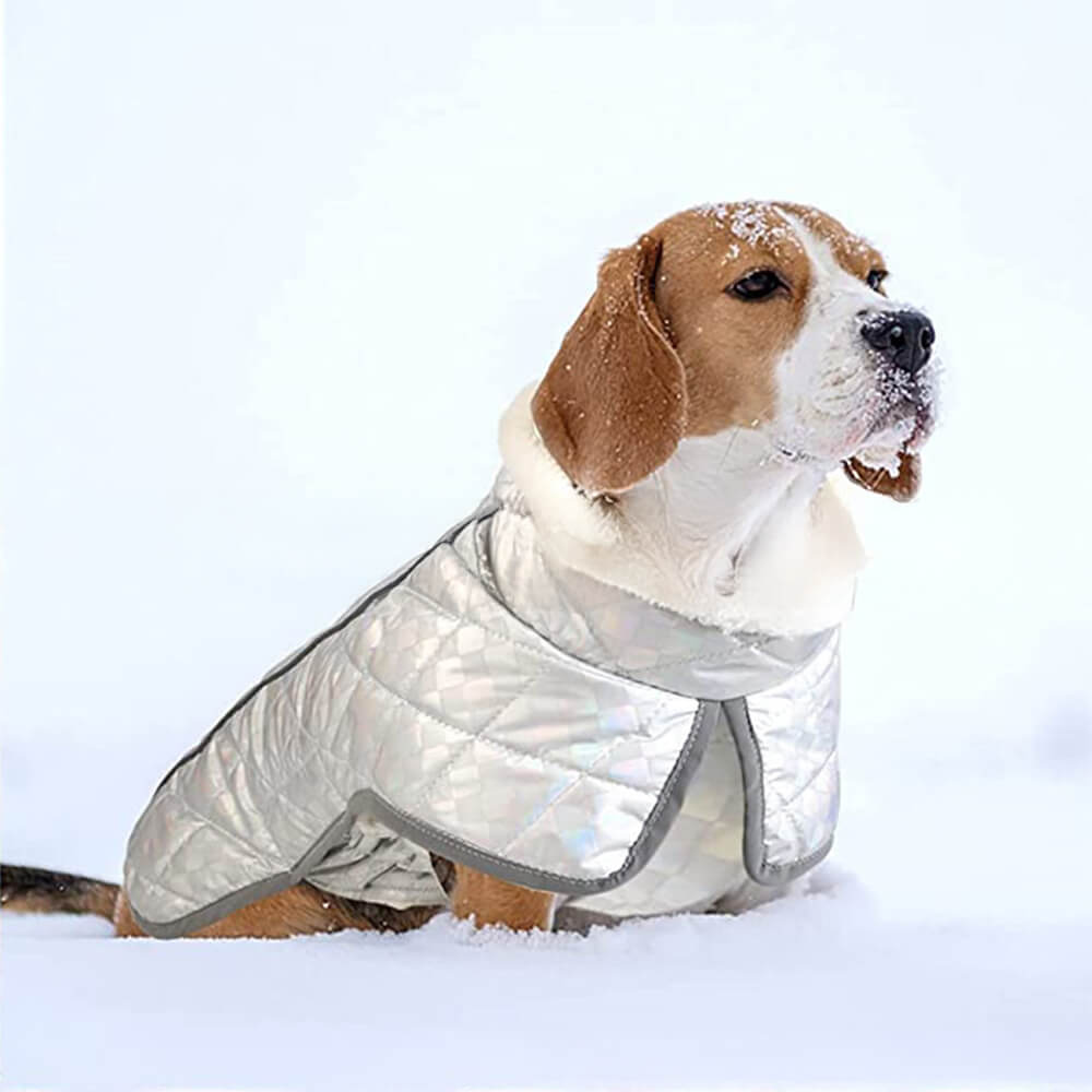 Schillernde, farbenfrohe, wasserdichte, reflektierende, warme Hundejacke