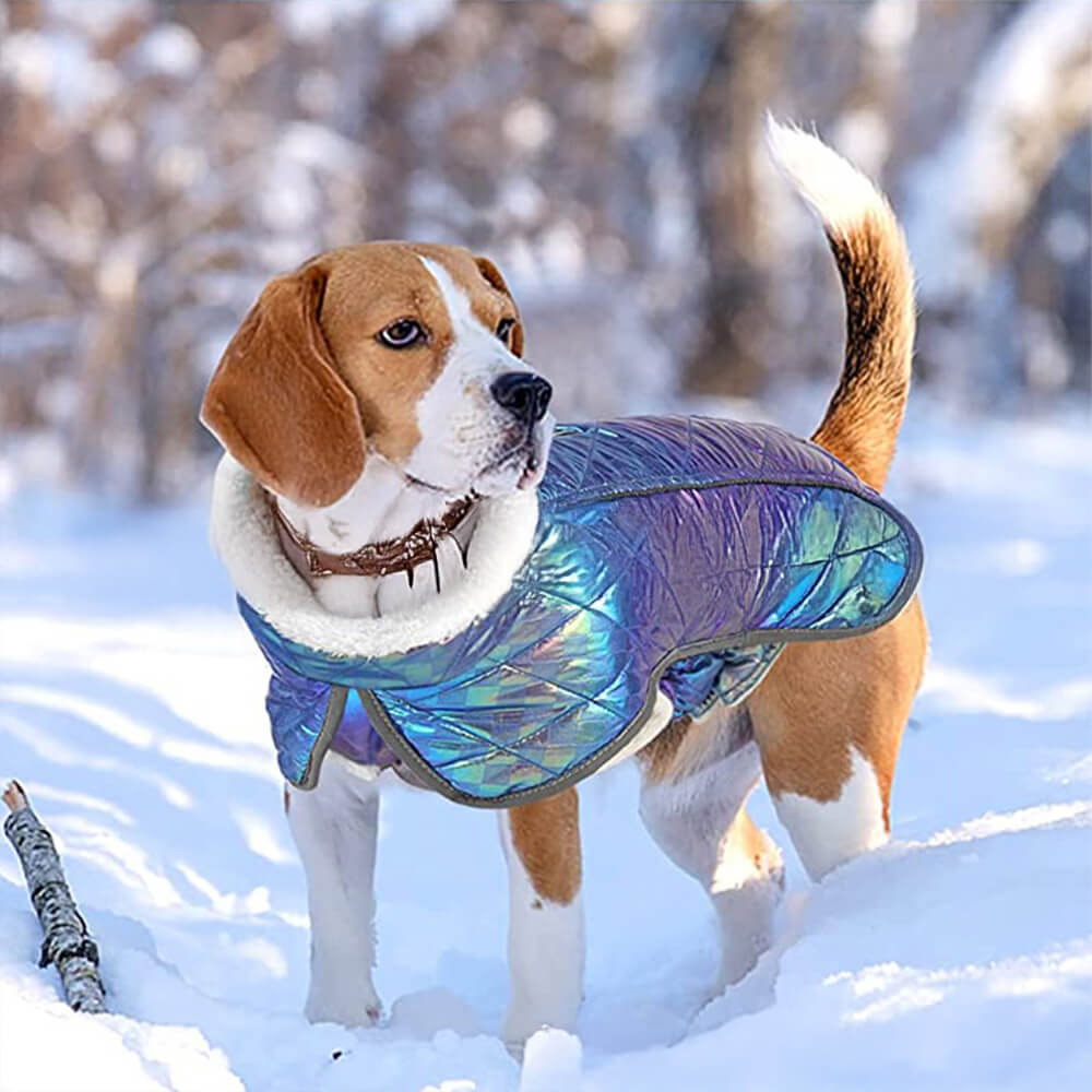 Schillernde, farbenfrohe, wasserdichte, reflektierende, warme Hundejacke