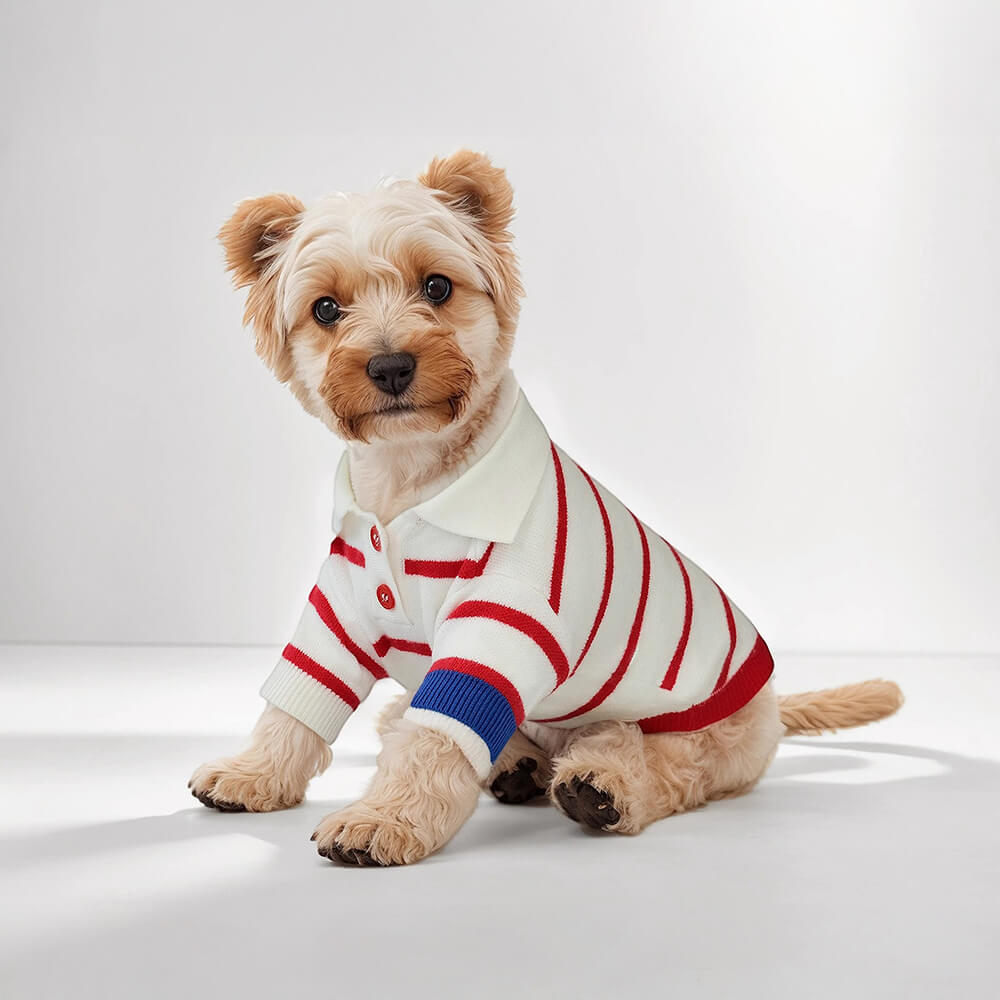 Pull pour chien en tricot style polo rayé d'inspiration marine nautique