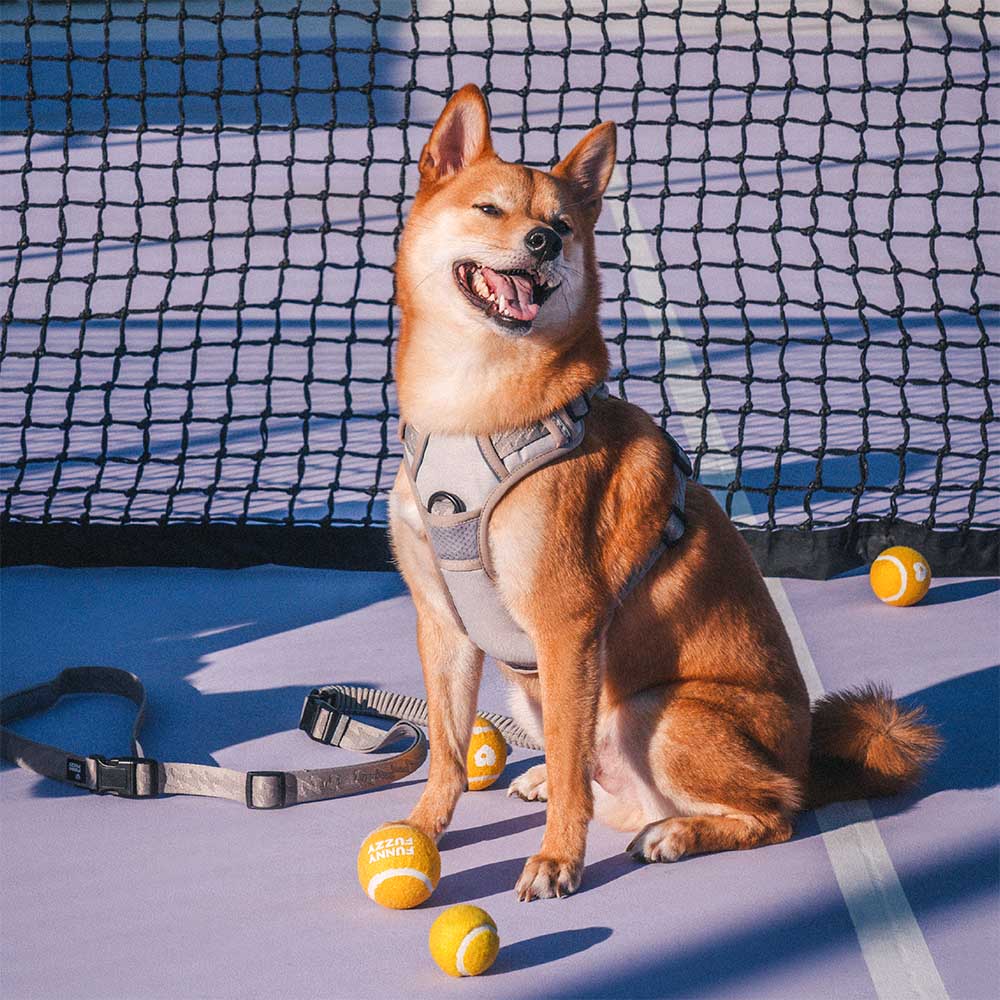 FUNNYFUZZY Reflektierendes, verstellbares Hundegeschirr für den Außenbereich – Flexi Walker