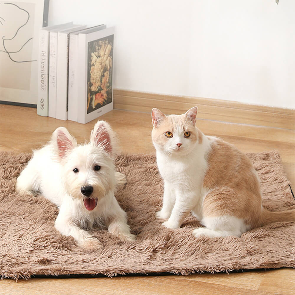 Tapis de tapis moelleux antidérapant en peluche douce pour chien et chat