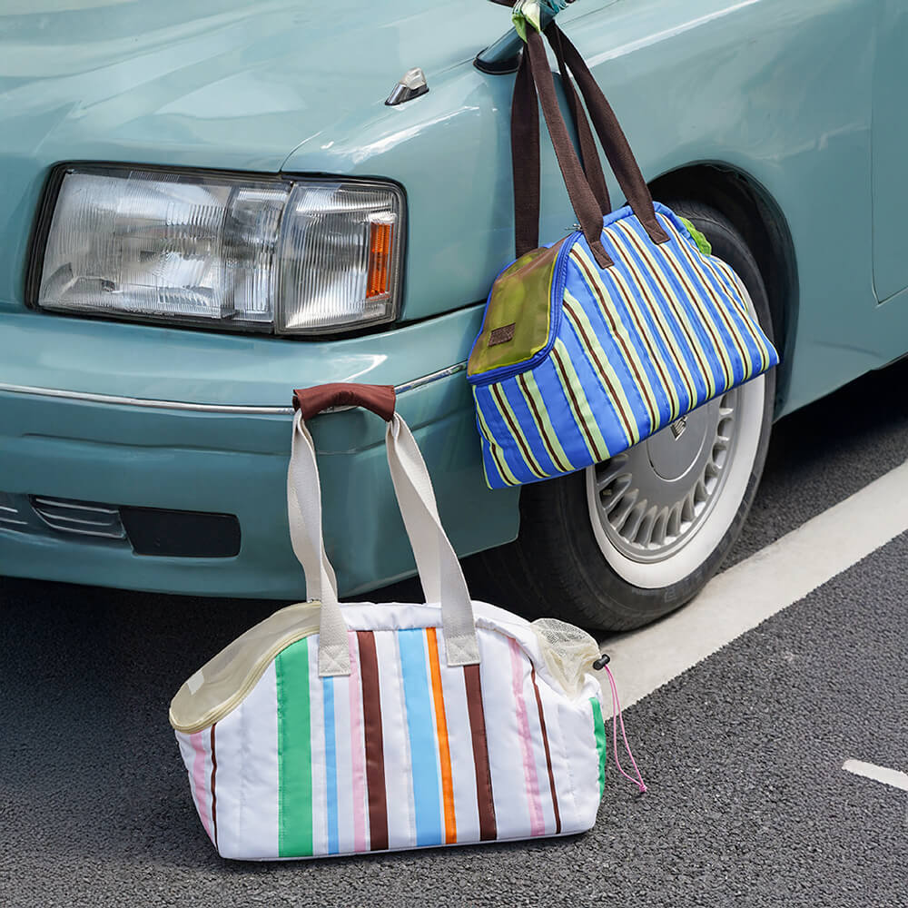 Stylish Striped Portable Shared Travel Pet Carrier Bag for Cats & Owners