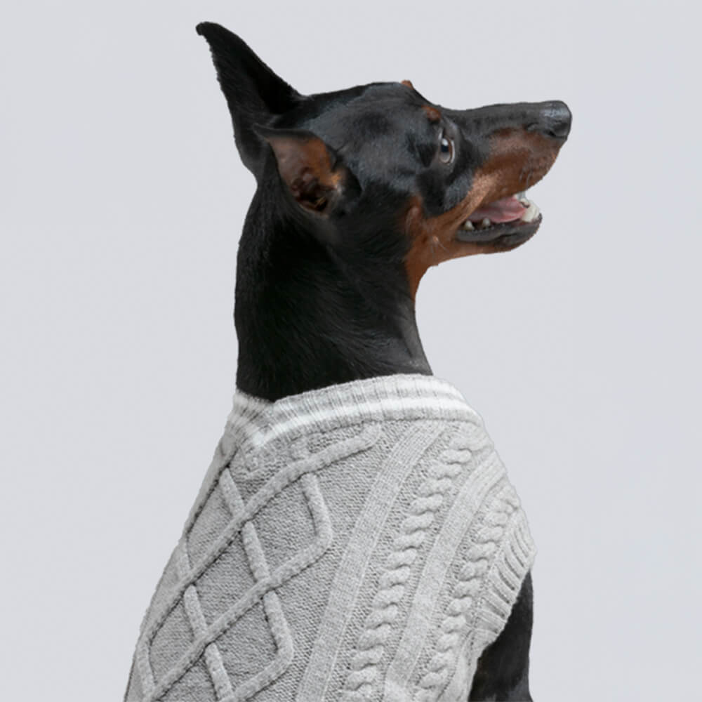 Trendiger, dehnbarer, warmer Argyle-Strickpullover mit V-Ausschnitt für Hunde und Katzen