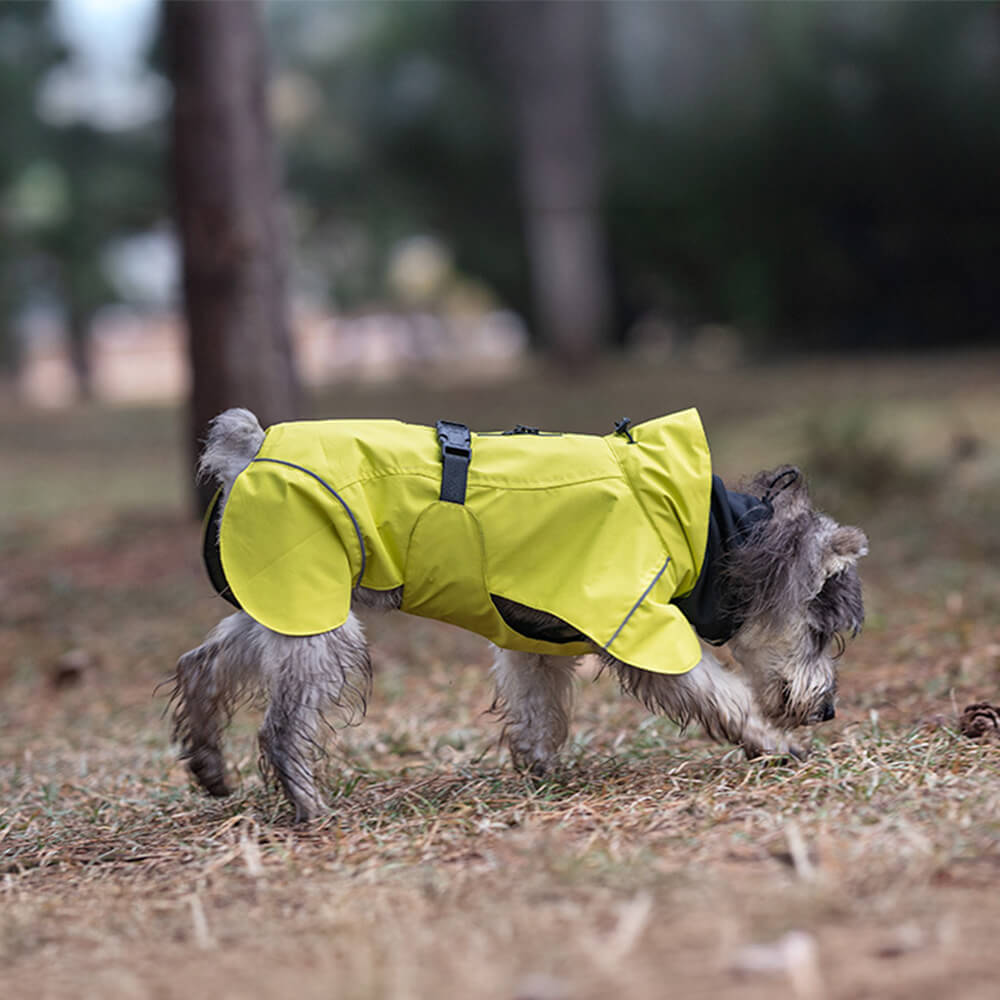 Poncho imperméable léger et réfléchissant à col roulé pour chien, imperméable et réglable