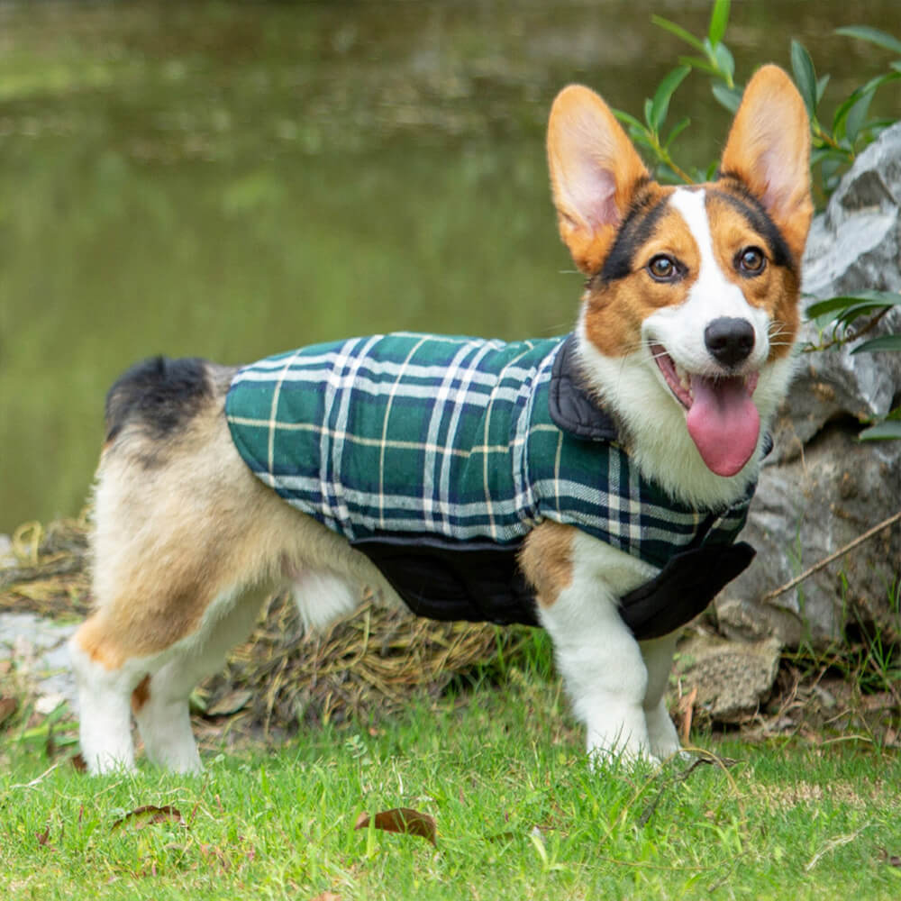 Veste pour chien à col roulé à carreaux ultra-chaud avec velcro doux pour la peau