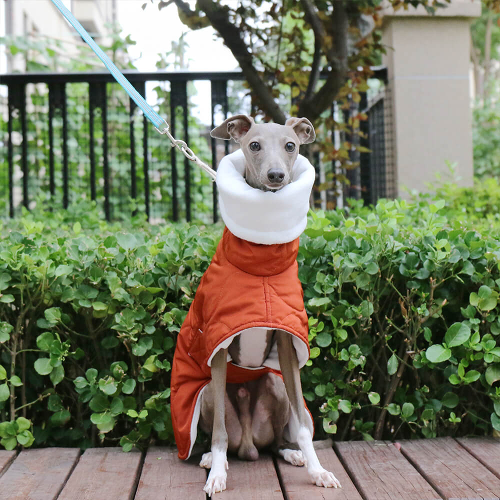 Veste chaude et imperméable matelassée pour chien à col roulé