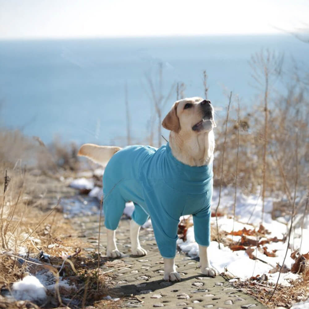 Winddichter Ganzkörper-Wärme-Rollkragenpullover aus Polarfleece für Hunde