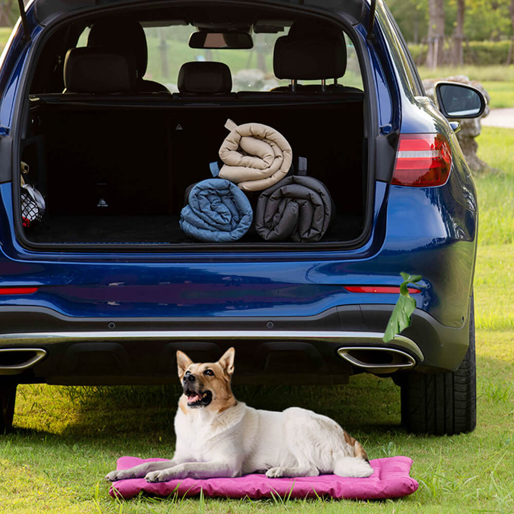 Estera de mascotas plegable impermeable al aire libre para automóviles y acampar
