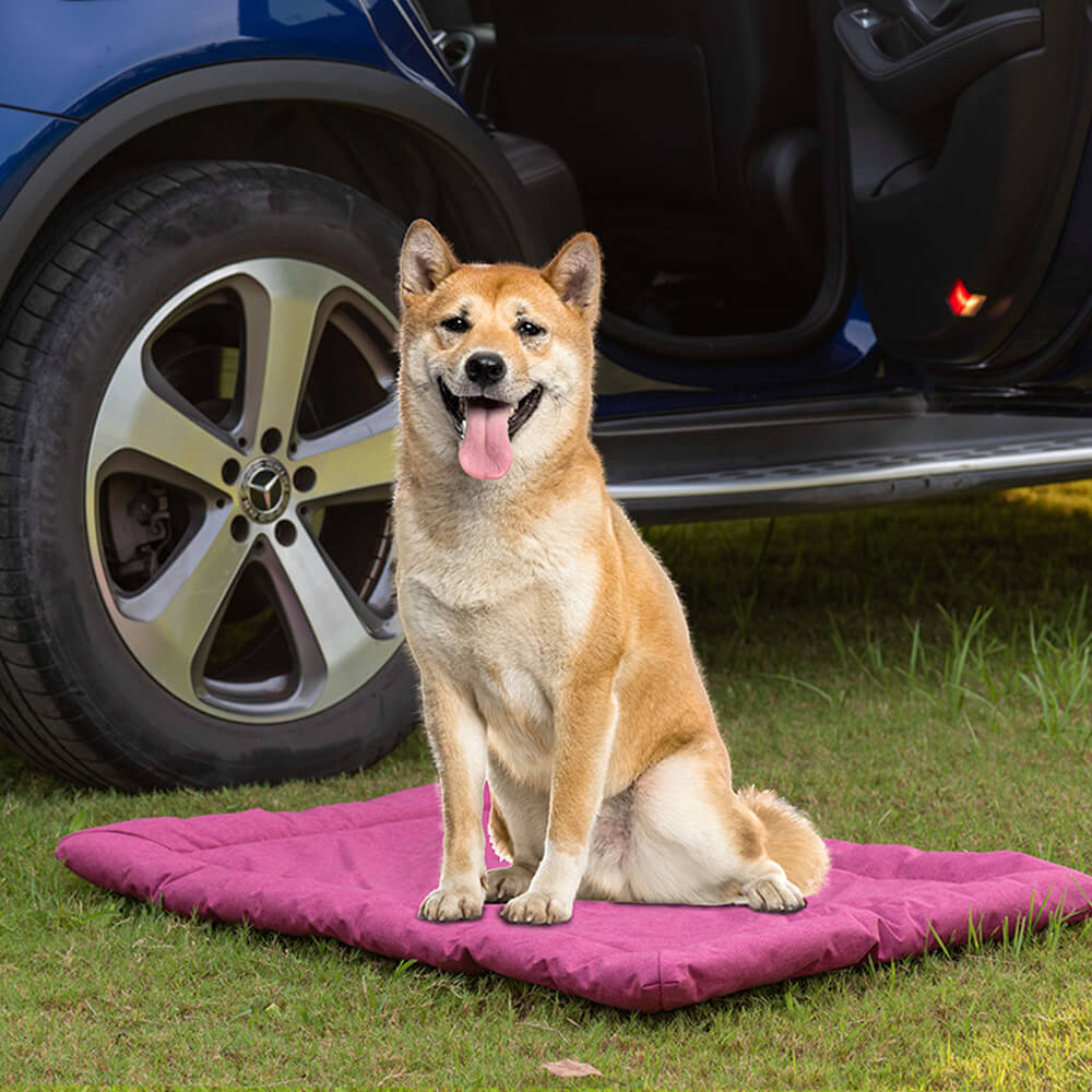 Estera de mascotas plegable impermeable al aire libre para automóviles y acampar