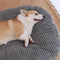 Warm And Comfortable Removable Washable Pet Sleeping Mat And Pet Bed