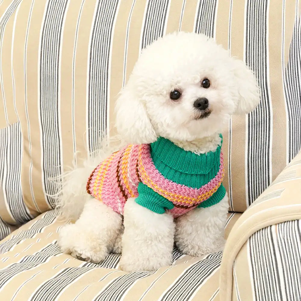 Color Blocked Striped Dachshund Dog Sweater