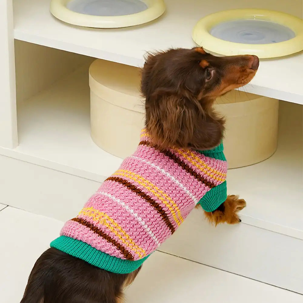 Color Blocked Striped Dachshund Dog Sweater