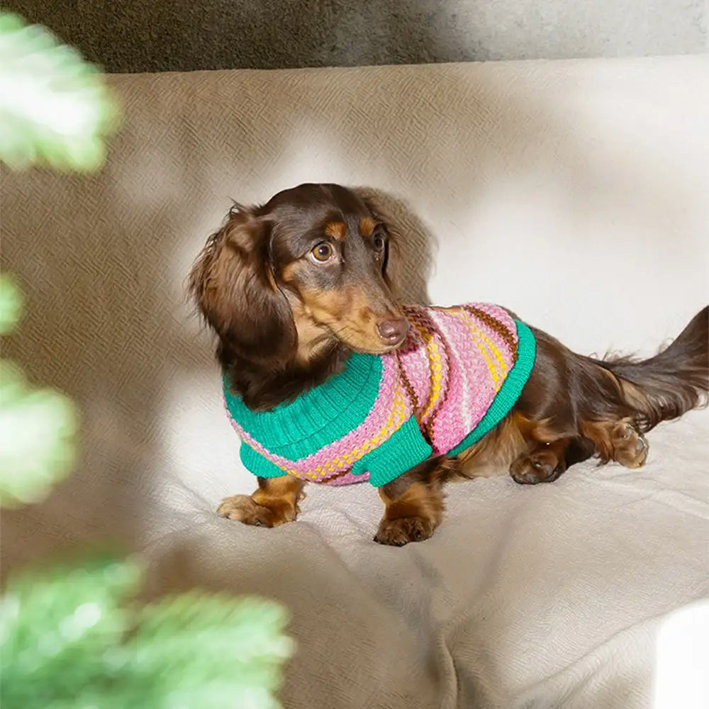 Color Blocked Striped Dachshund Dog Sweater