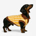 Color Blocked Striped Dachshund Polo Collar Dog Sweater