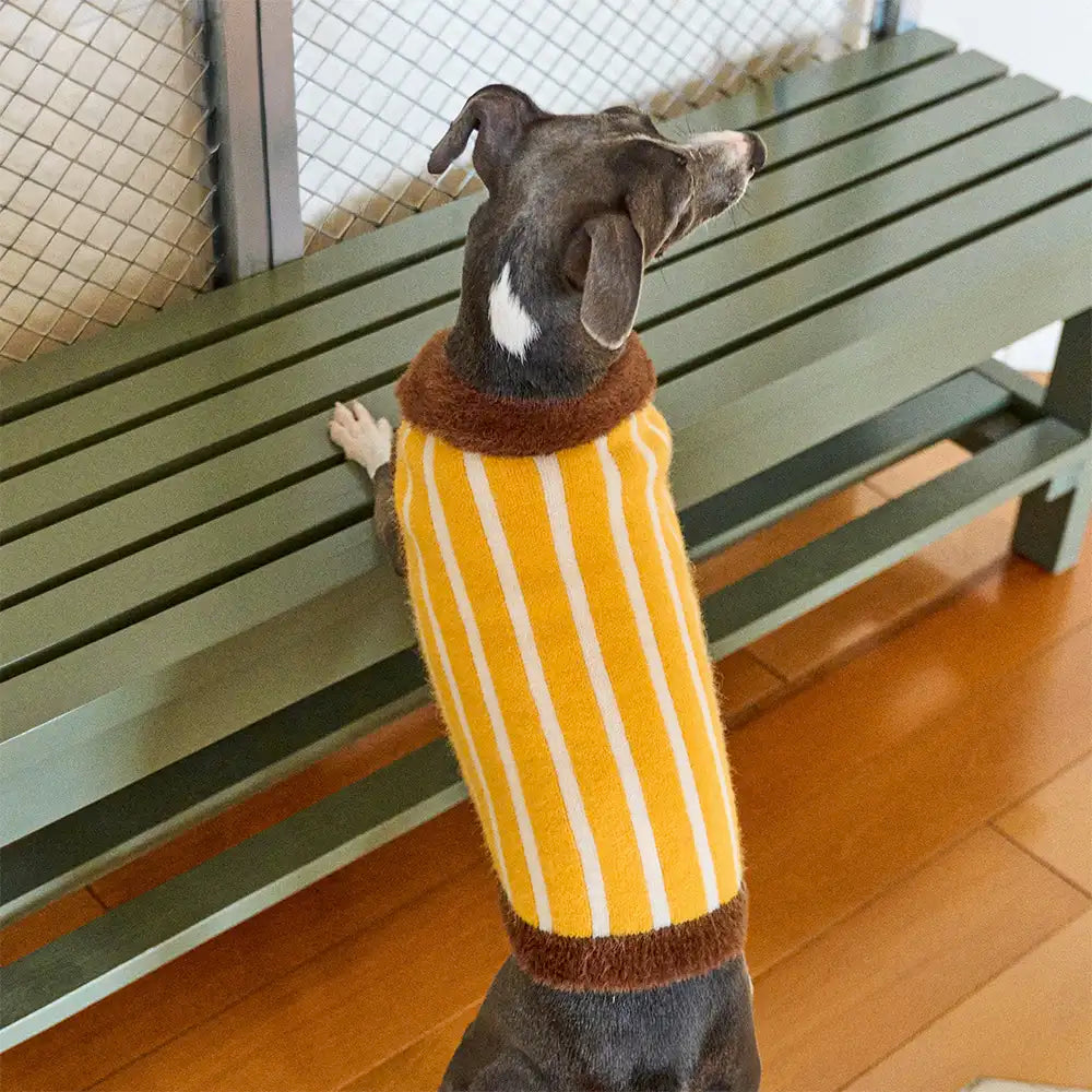 Color Blocked Striped Dachshund Polo Collar Dog Sweater