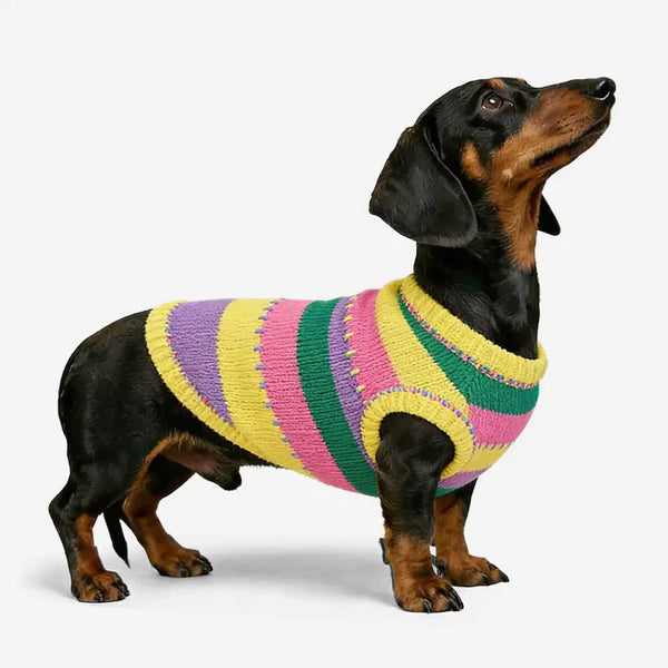 Color Blocked Striped Dachshund Sleeveless Dog Sweater