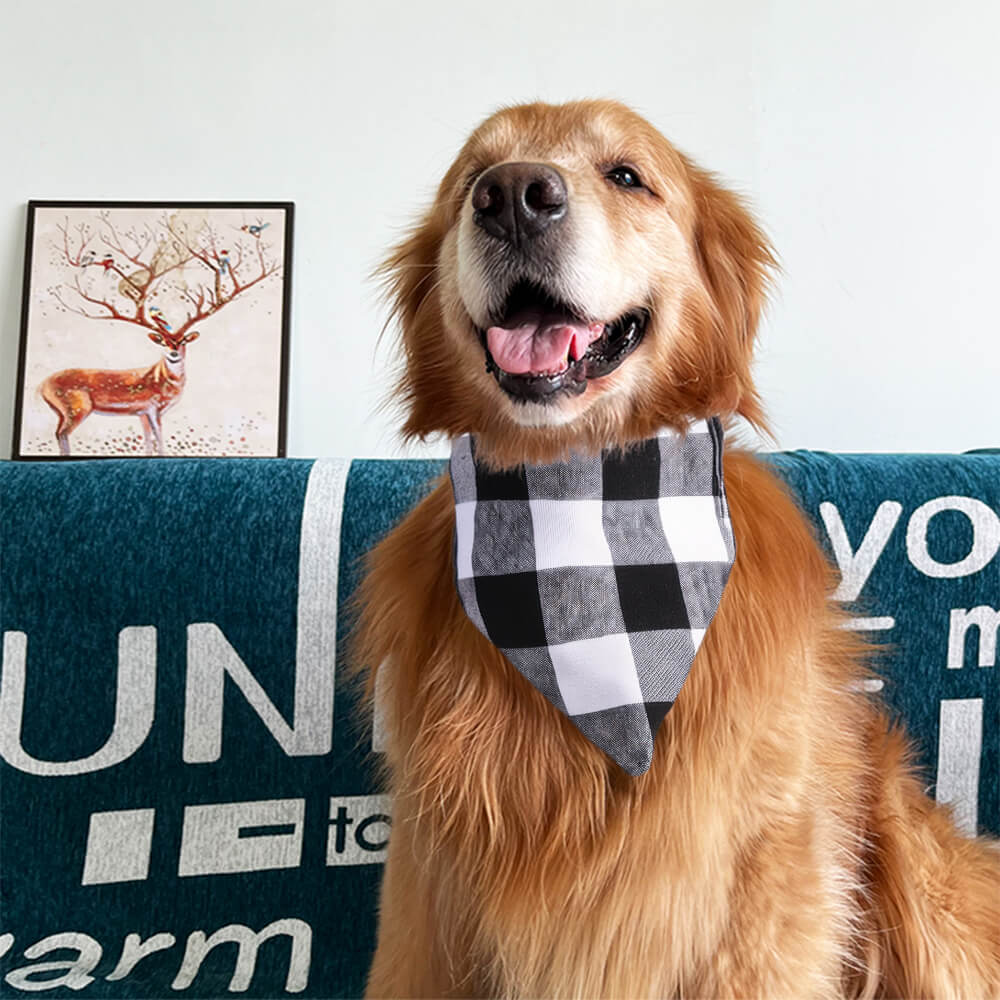 Bandana para perros con accesorios elegantes para mascotas de moda