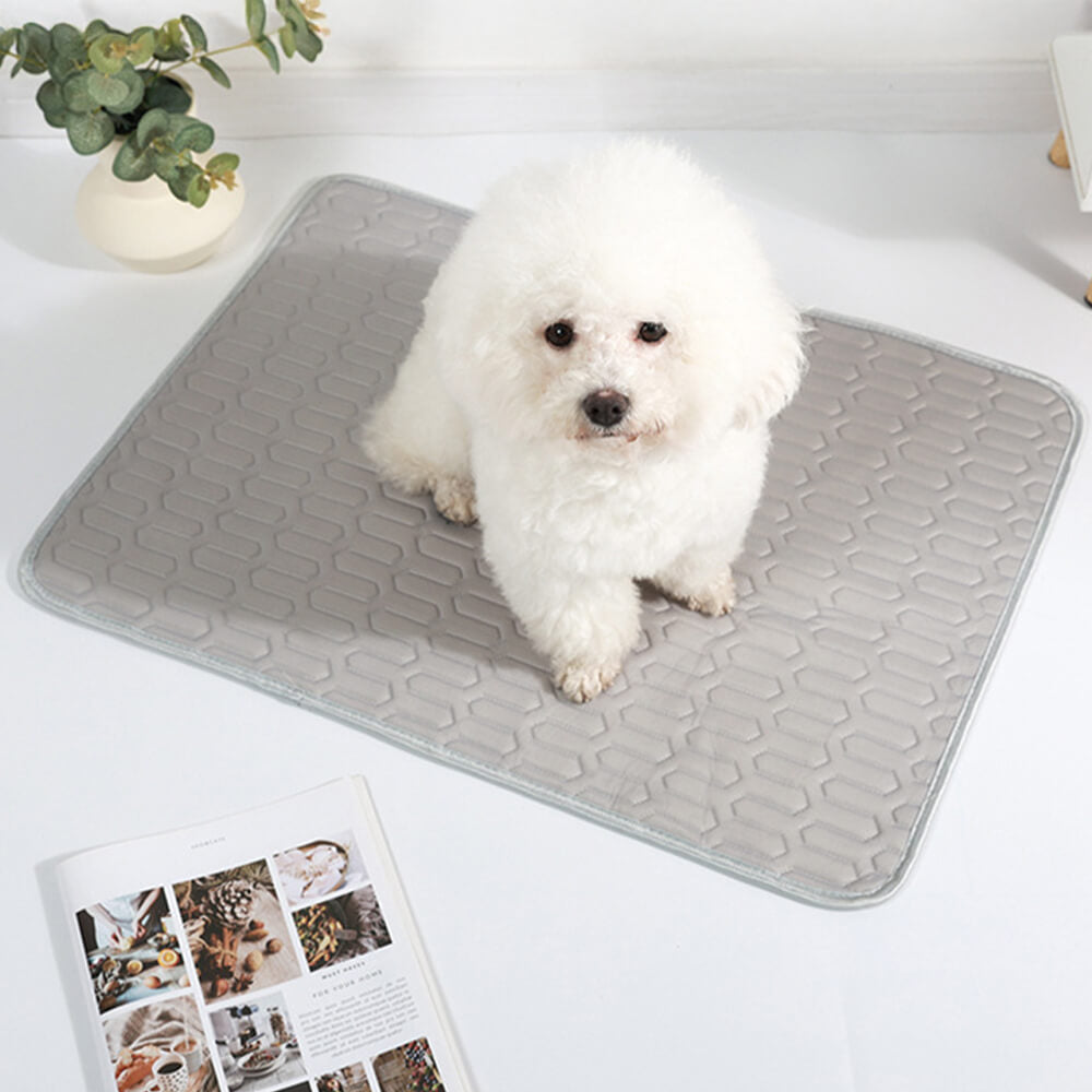 Cooling Washable Non-Slip Breathable Ice Silk Dog &amp; Cat Mat