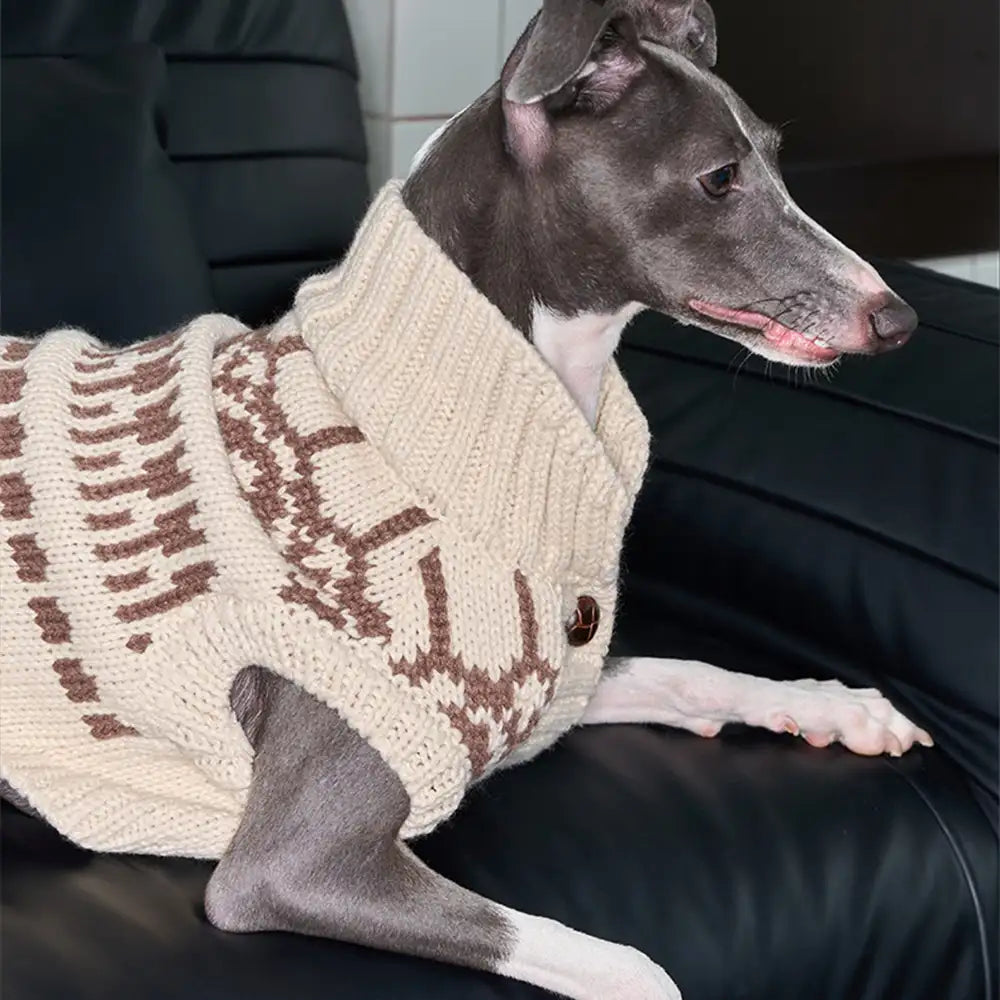 Fair Isle Pattern Dachshund Sleeveless Dog Sweater