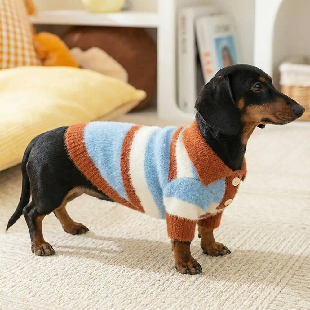 Faux Wool Color-Block Dog Sweater with Striped Collar for Dachshunds