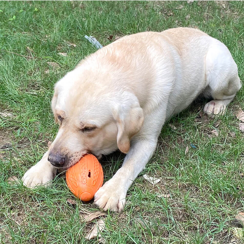 Jouet à mâcher pour chien en forme de football, friandises cachées, jouet interactif