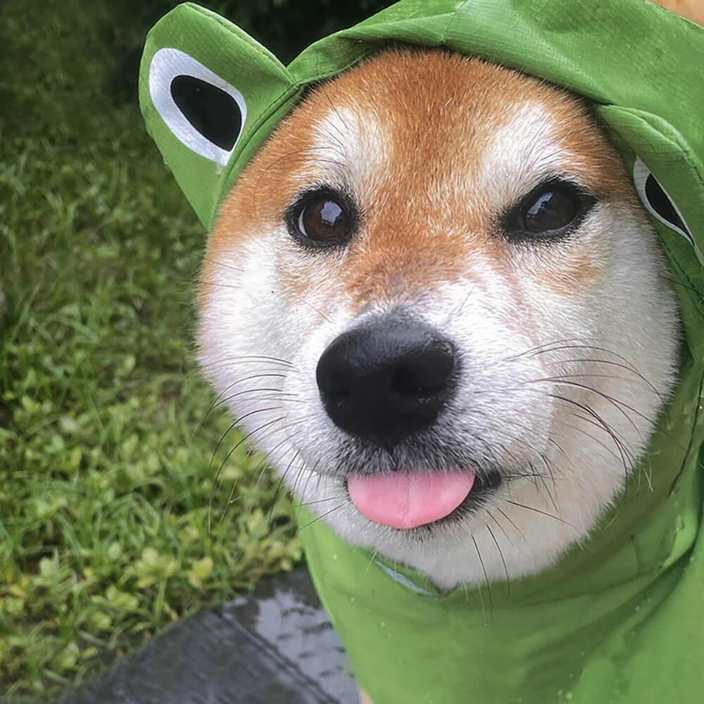 Frog-Inspired Waterproof Lightweight Dog Hooded Poncho Raincoat