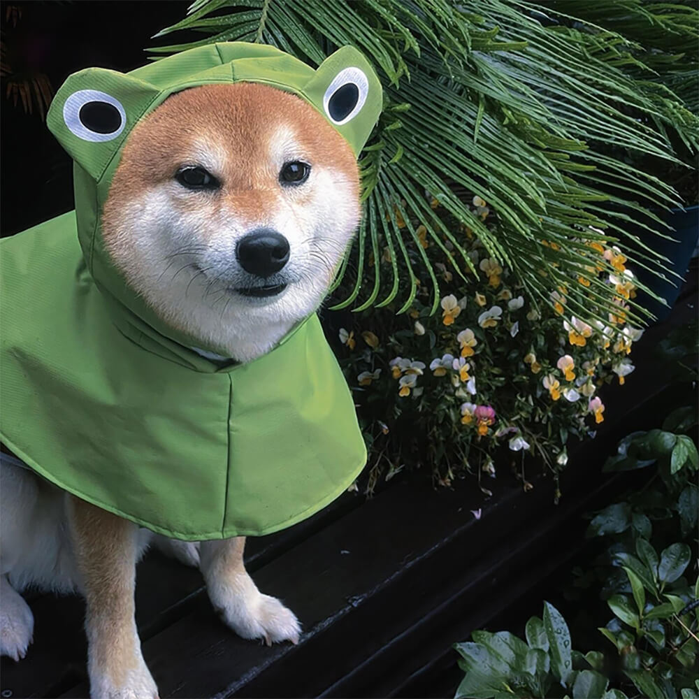 Frog-Inspired Waterproof Lightweight Dog Hooded Poncho Raincoat