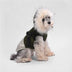 Fur-Trim Hooded Warm Dog Coat with Leash Buckle