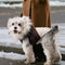 Fur-Trim Hooded Warm Dog Coat with Leash Buckle